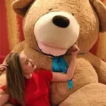 Главная - Teddyway